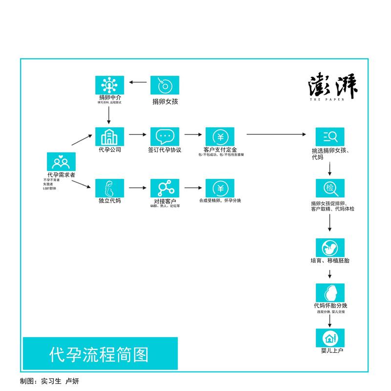 国内外资代孕机构